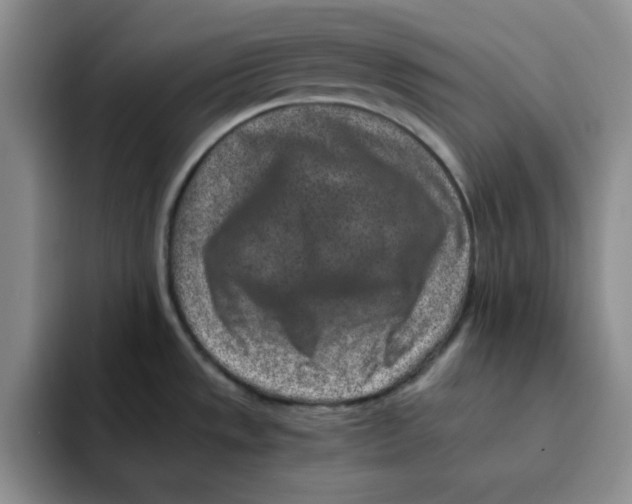 X0000091651533200709201117