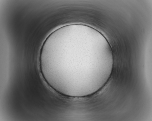 X0000091651534200709201117