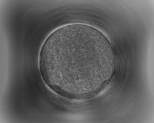 X0000091651535200709201117