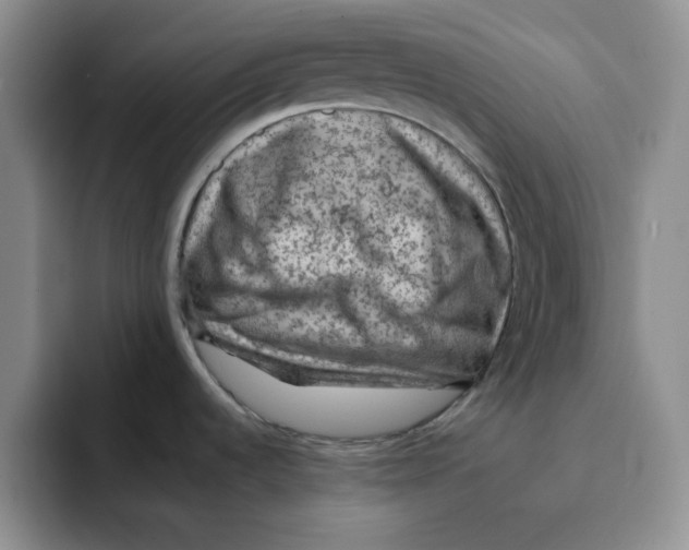 X0000091651536200709201117