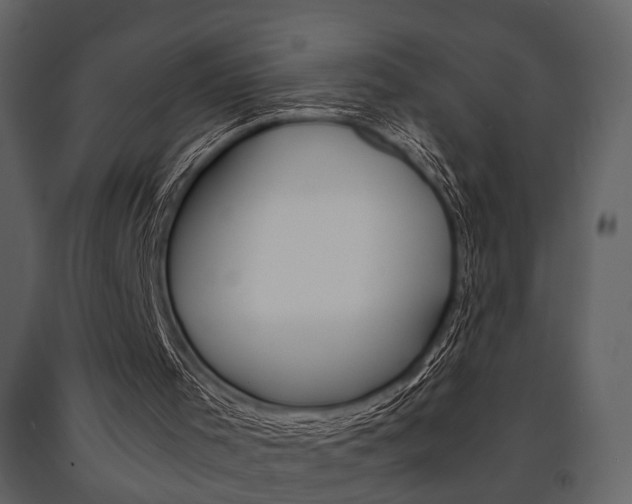 X0000091660001200708231002
