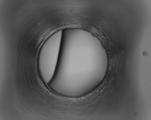 X0000091660002200708231002