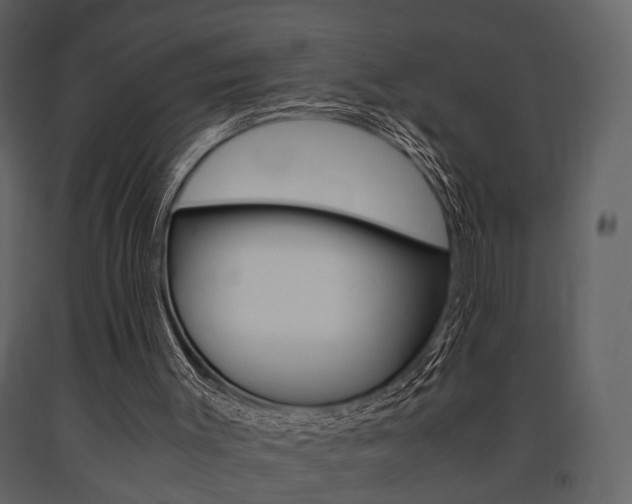X0000091660003200708231002