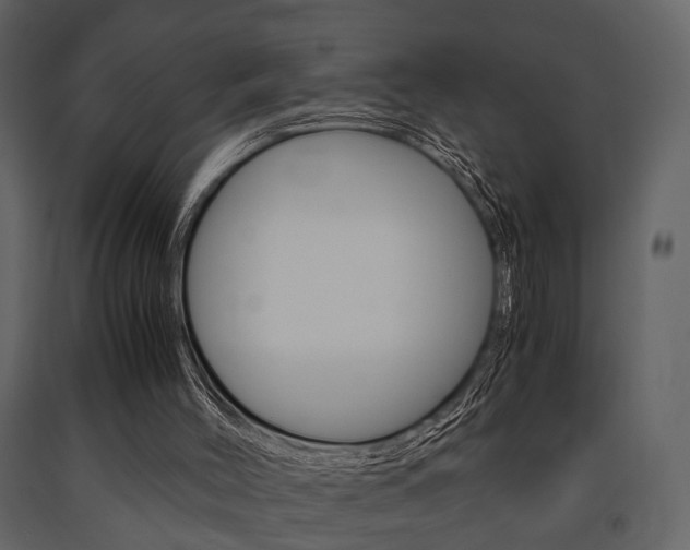 X0000091660004200708231002