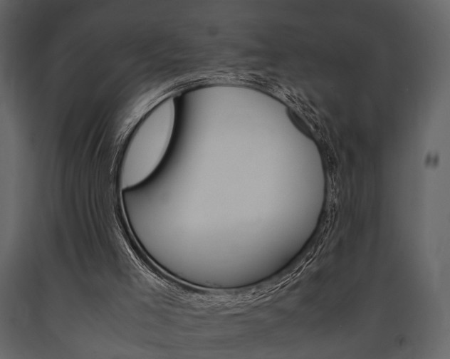 X0000091660005200708231001