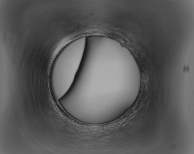X0000091660006200708231001