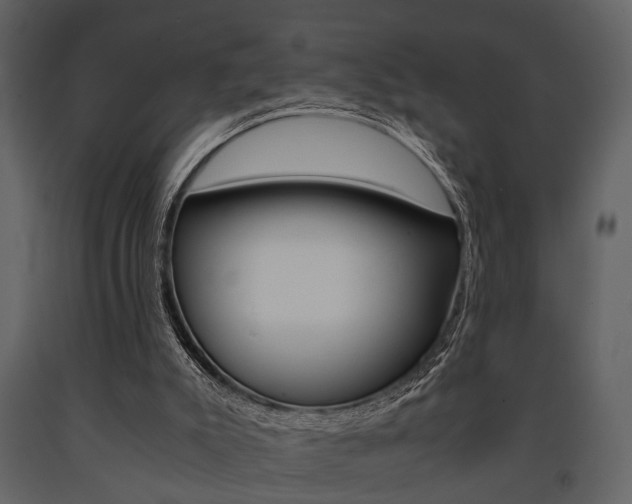 X0000091660007200708231001