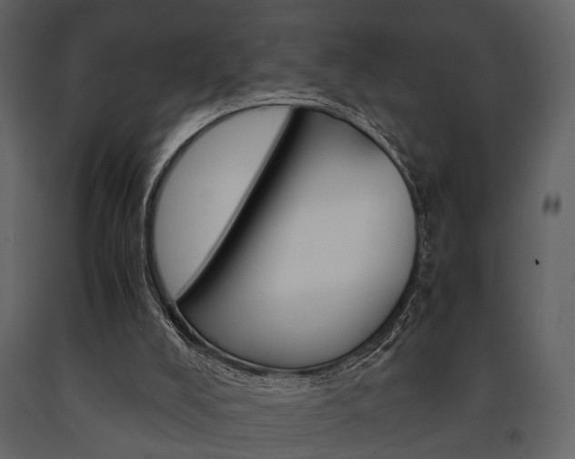X0000091660008200708231001