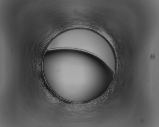 X0000091660009200708231001