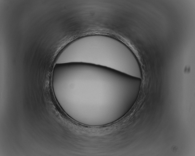 X0000091660010200708231001