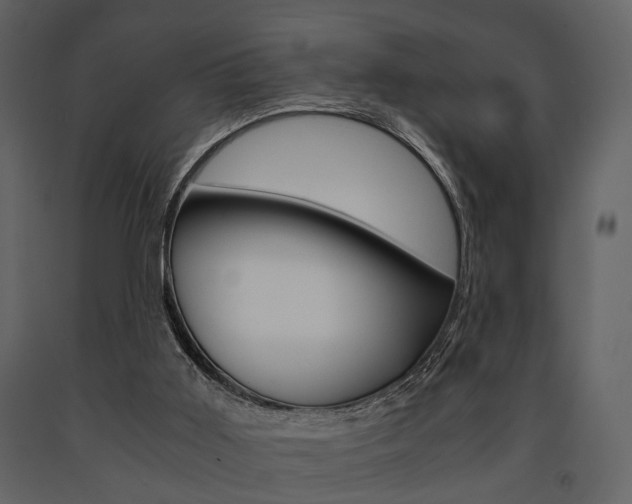 X0000091660011200708231001