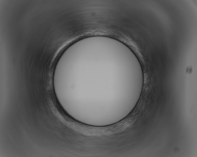 X0000091660012200708231001
