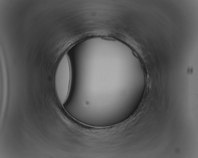X0000091660013200708231001