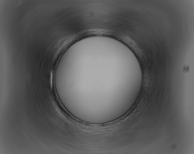 X0000091660014200708231001