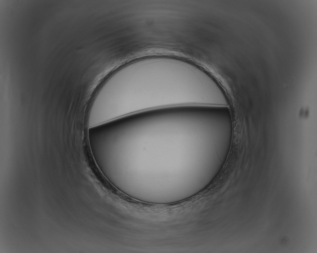X0000091660015200708231001