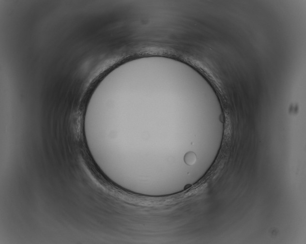 X0000091660016200708231001