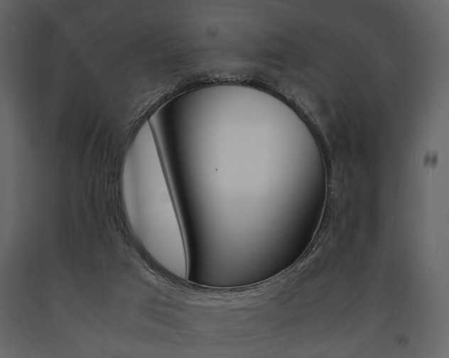 X0000091660017200708231001