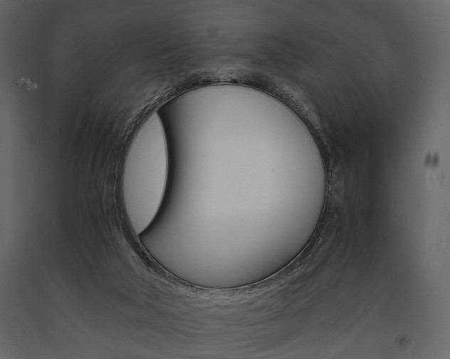 X0000091660018200708231001