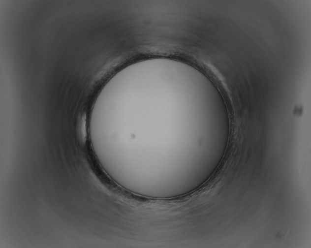 X0000091660020200708231001