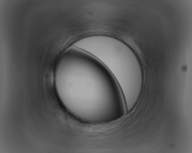 X0000091660021200708231001