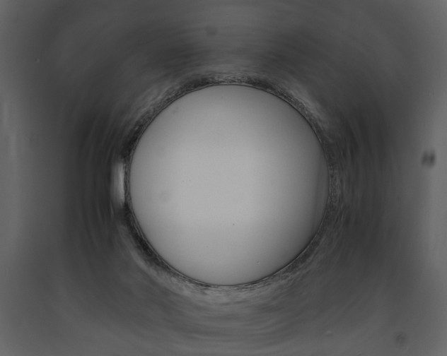 X0000091660022200708231001