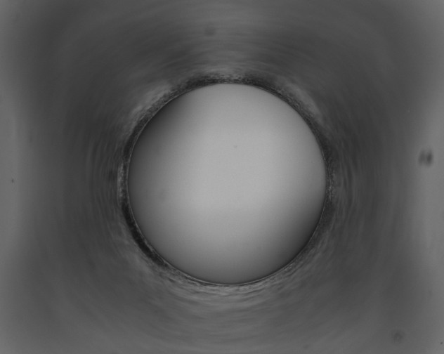 X0000091660023200708231001