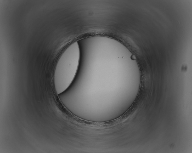 X0000091660024200708231001