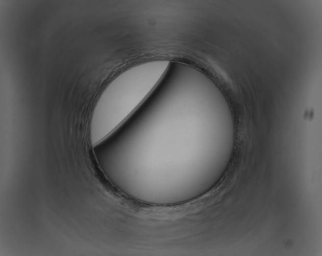 X0000091660025200708231001