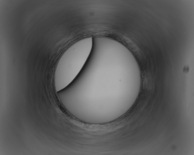 X0000091660026200708231001