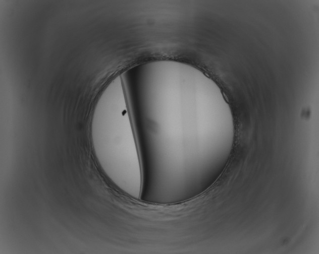 X0000091660027200708231001