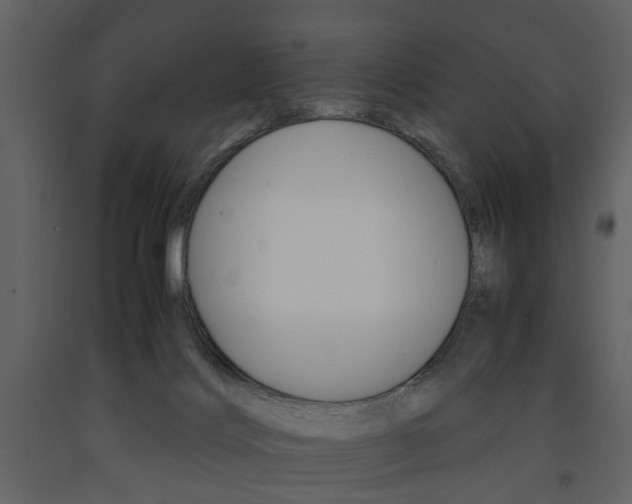 X0000091660028200708231001