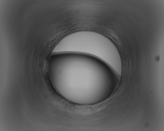 X0000091660029200708231001