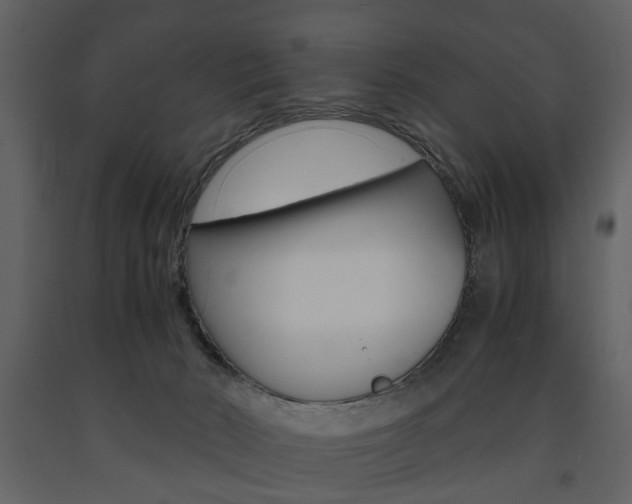 X0000091660030200708231001