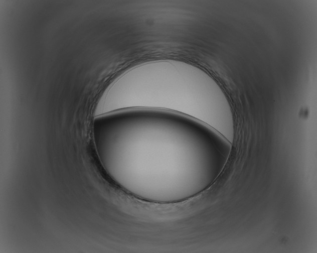 X0000091660031200708231001