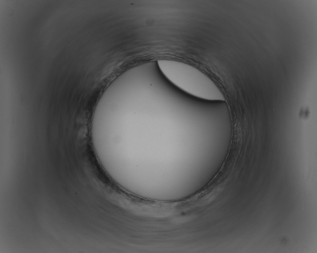 X0000091660032200708231001