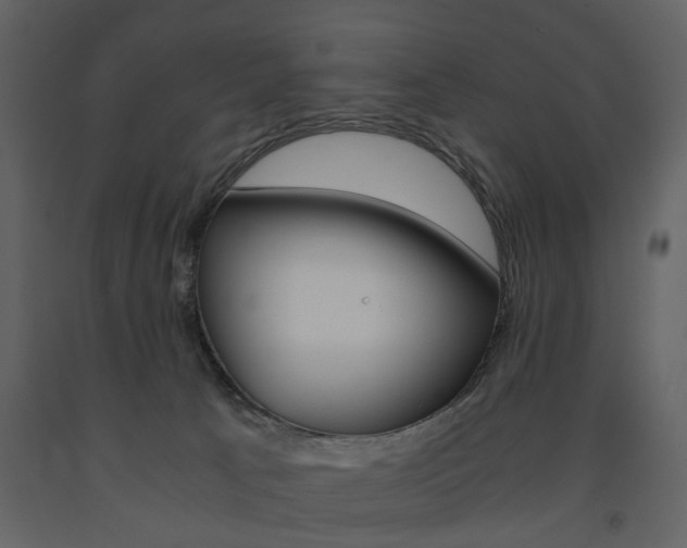 X0000091660033200708231001