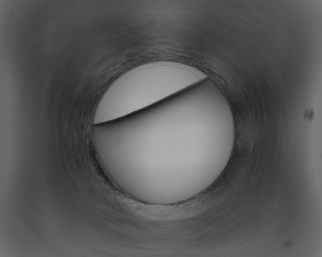X0000091660034200708231001