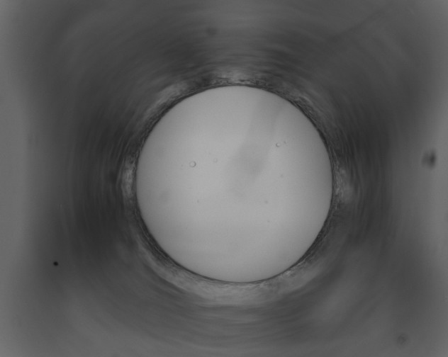 X0000091660036200708231001