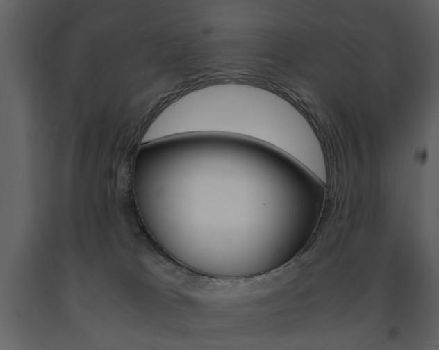 X0000091660037200708231001