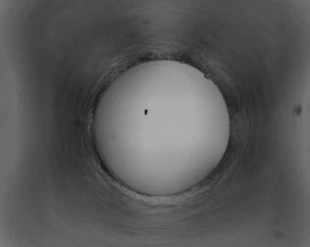 X0000091660038200708231001