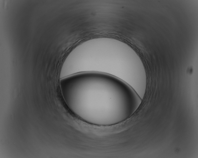 X0000091660039200708231001
