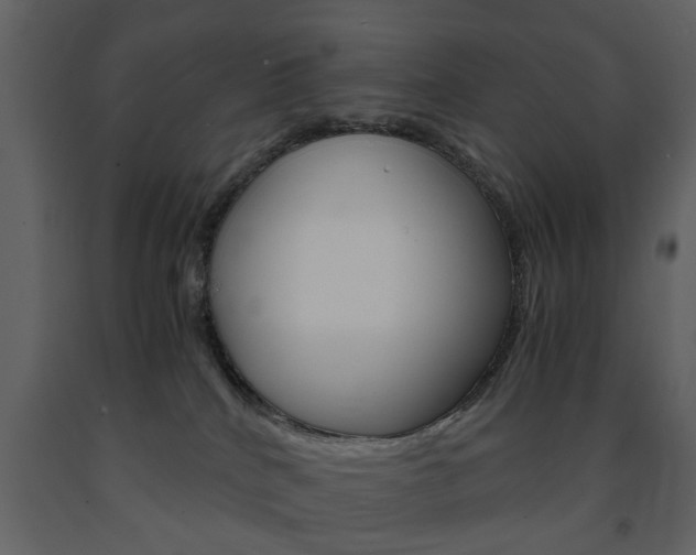 X0000091660040200708231001