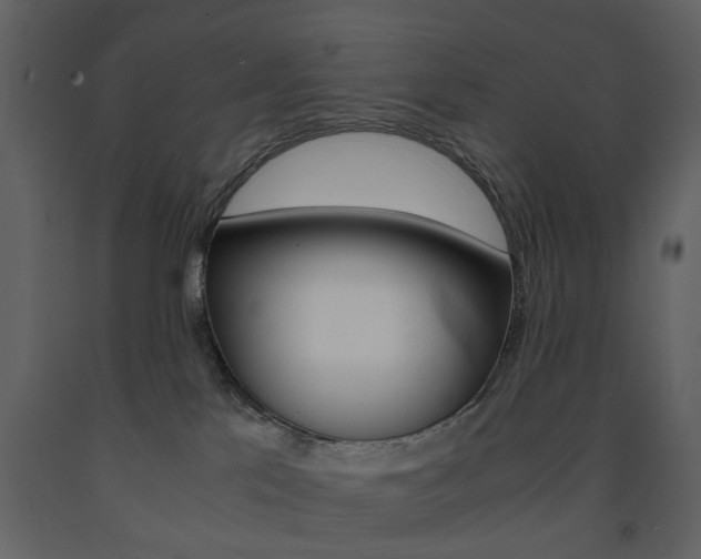 X0000091660041200708231001