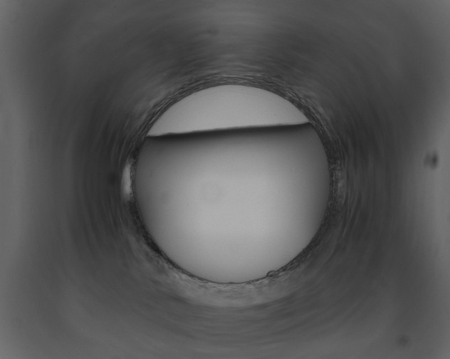 X0000091660042200708231001