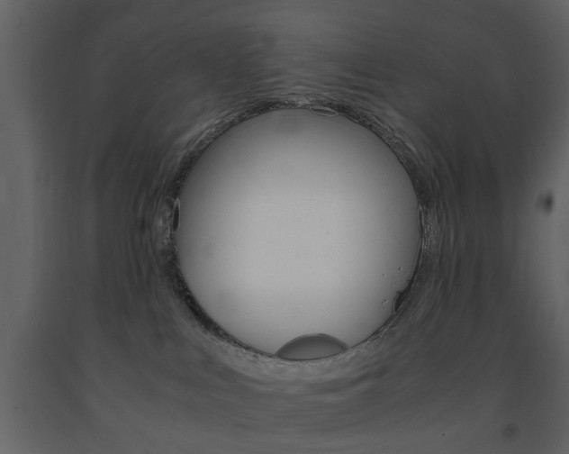 X0000091660043200708231001