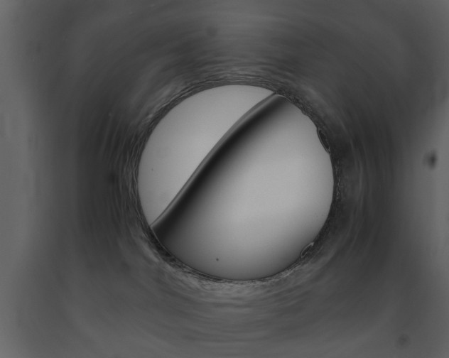 X0000091660044200708231001