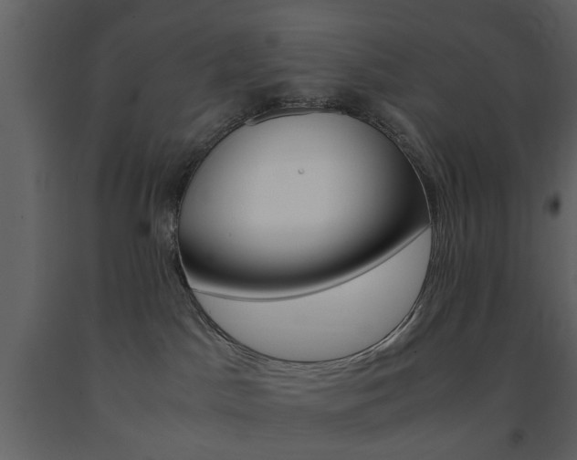 X0000091660045200708231001