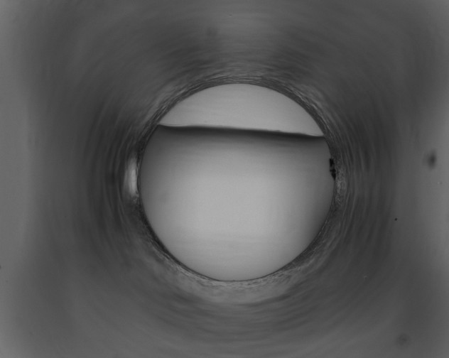 X0000091660046200708231001