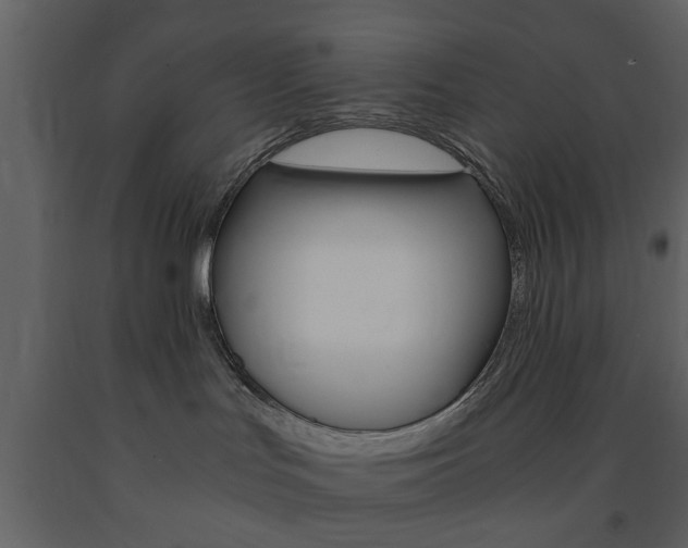 X0000091660047200708231001