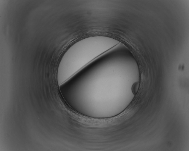 X0000091660048200708231001